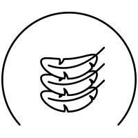 Intermediário